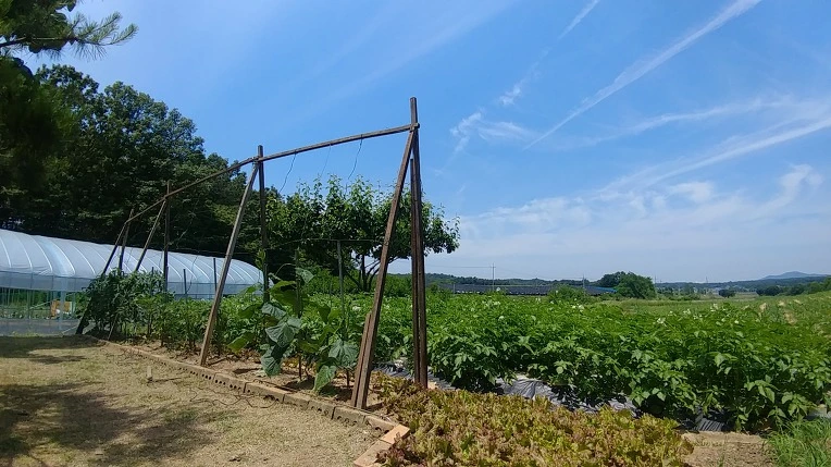 99550B355B137B4225A7A8