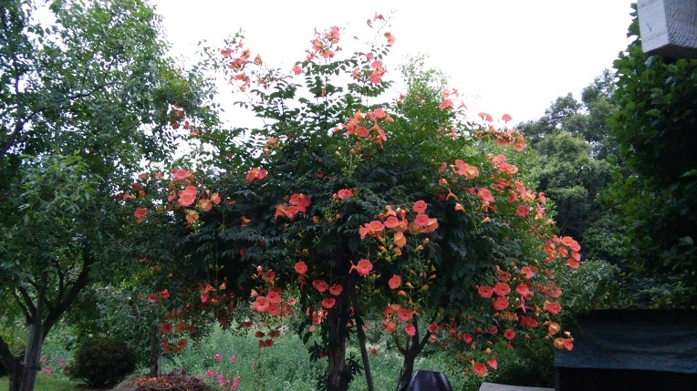 251F6F3F5622BFE80E850D