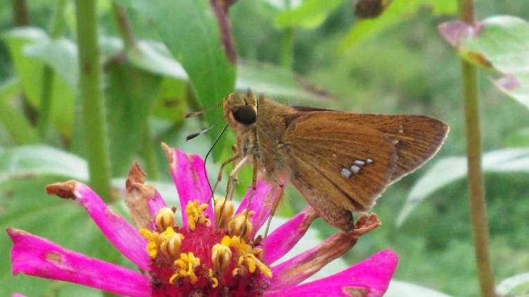 99944333599E1B2A174404