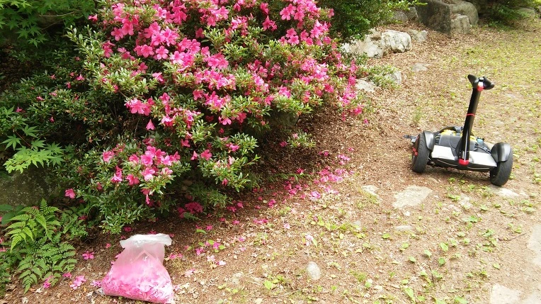 216EEE4359504204118337