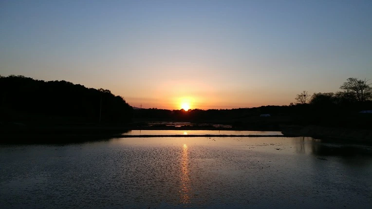 9903844F5CCCA58010A8D1