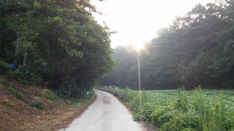 2743A74A576F7D6F2DA3A8