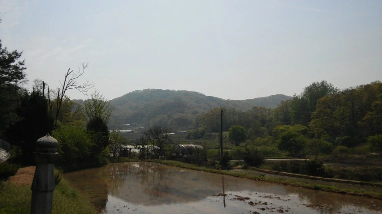 2669B839571EEE60413DC1