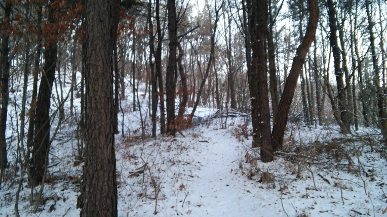 265841425696EEFA02C2C0