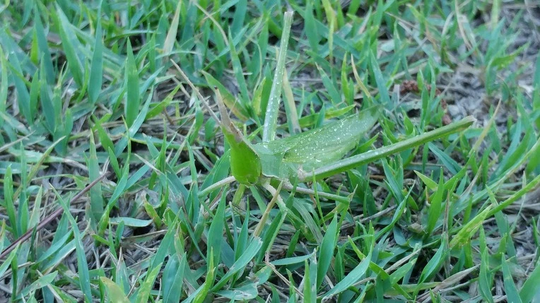 99F5B23B5B6F798934CF60