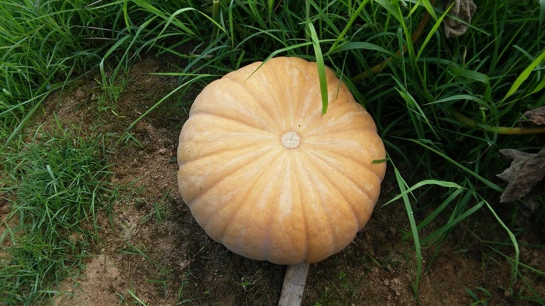 2327004C57A5245C24D9A7