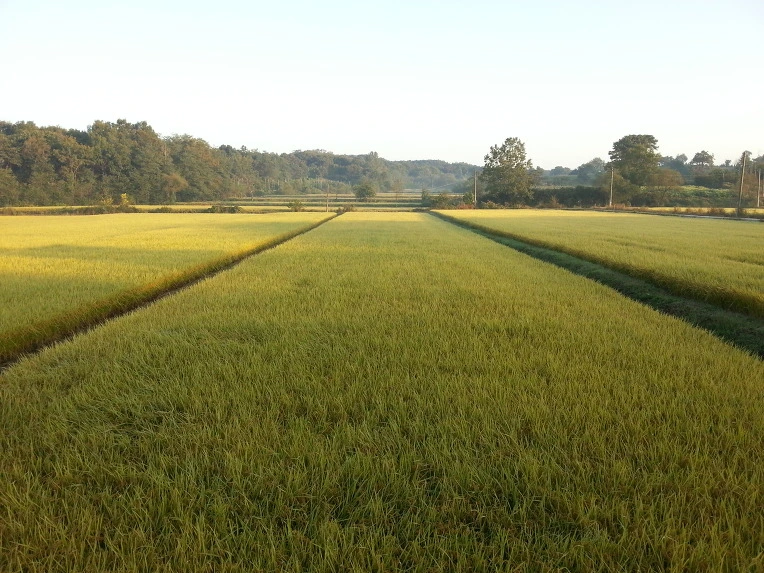 2113A44B54320340043501