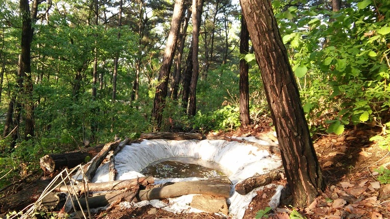 234F2C4D57292CE0177A5C