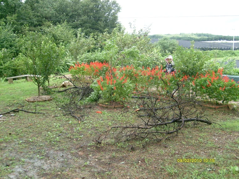 2016061A4CA5BE4C58D3C1