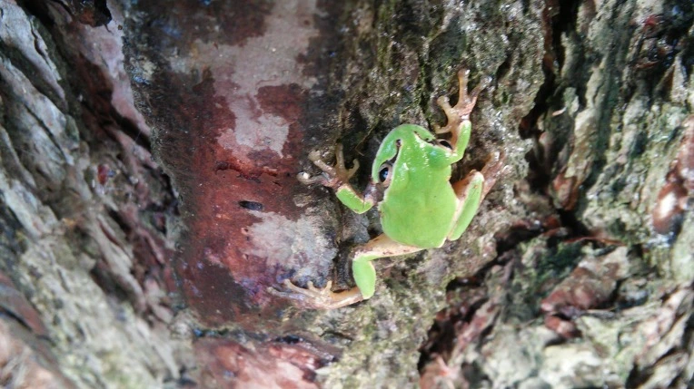 25367A3F57BB97C309F781