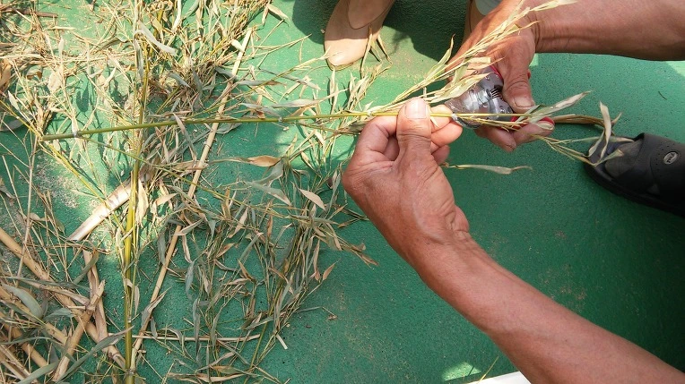 234337505724807C0EAF6B