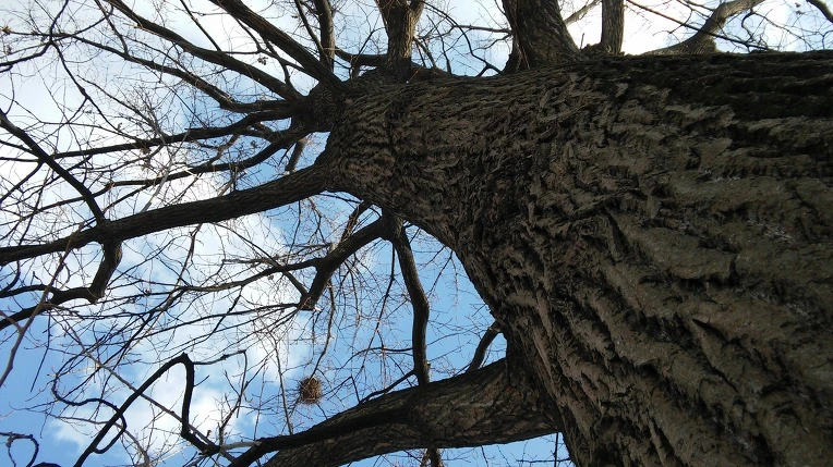 211CB34E5878B2893171C3