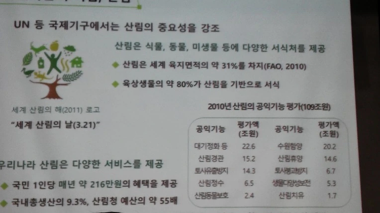 27672D3956E0B42F2E7E22