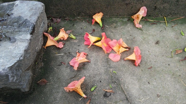 2616E13357BFDF843A0BFC