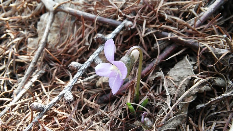 222B473756F7757224AE2D