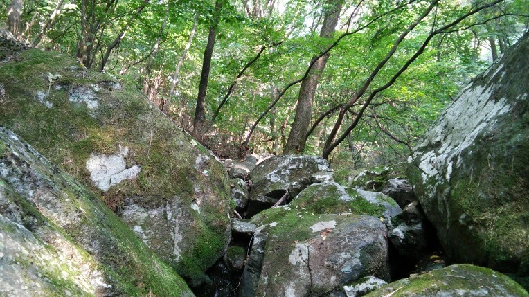 250C1045560FBCF01A2E4A