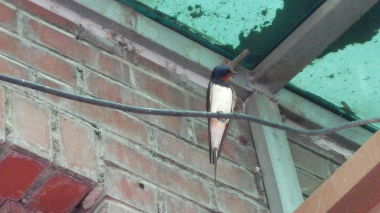 2276DC4C5786C10E0F191A