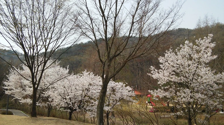 2402354957095EA92526B1