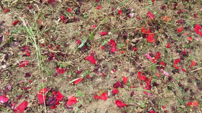 2515FB40575E42262792B0