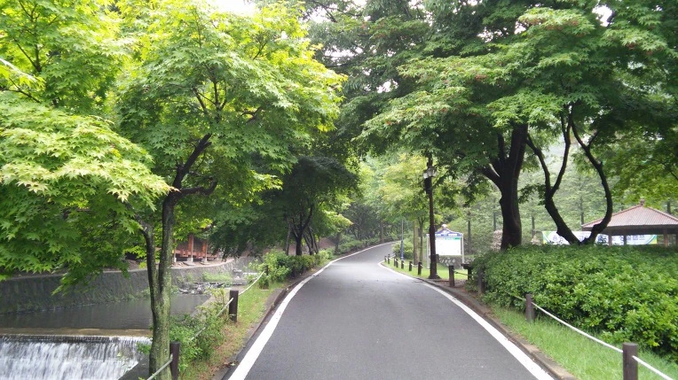 217DA63C56932BC11D3EE4