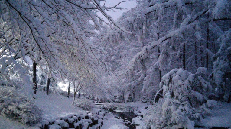 256E8338568CF944334BD8