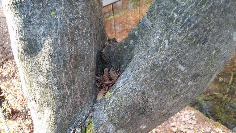 276F313C56721178085F56