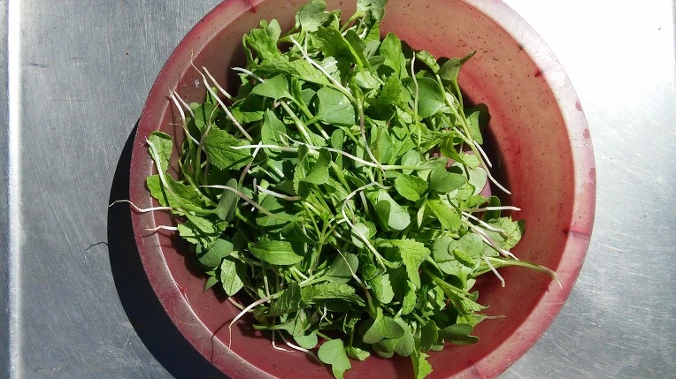 2112D83957C0FA662F82C7