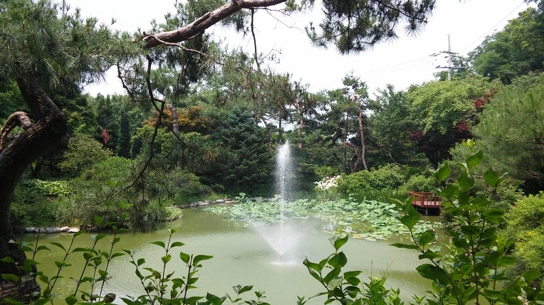 2555A543576A34730D5D36