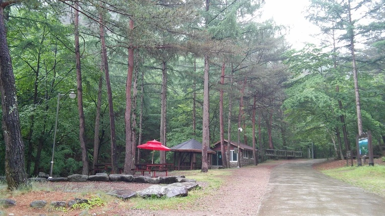 2538044B5924D6F1398D94