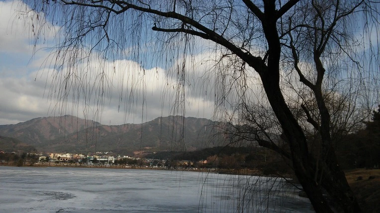 2735723E56AD8CC8235C66