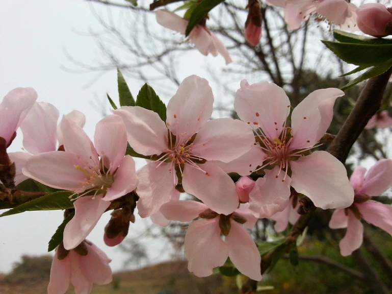 230EE13A534E65D50598CC