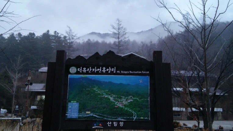 233E6B4D56DA7C1236796F