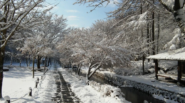 256EB344566120F41F0181