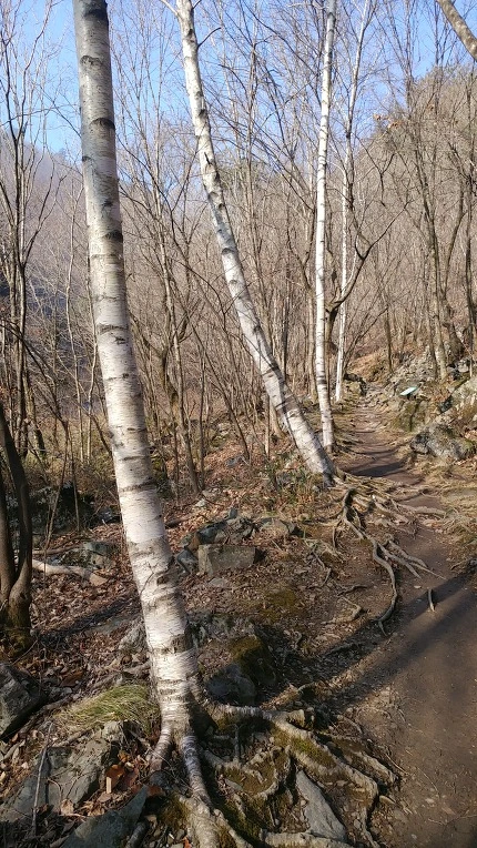 9919AF3D5EBE1E031FB909