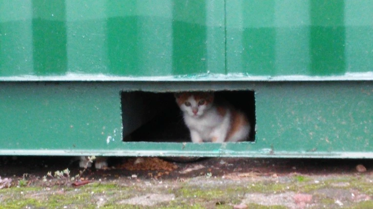 276C974A55DD423823355A