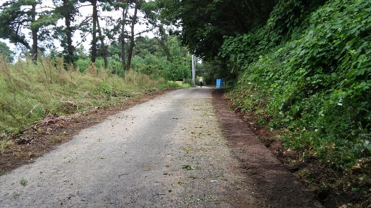 260D8D3657C398B40AF463