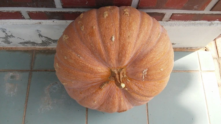 2716C84857CA238A192862