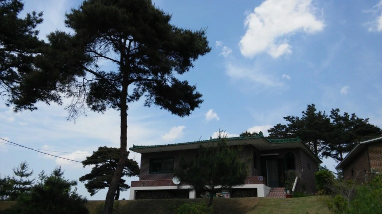 21586636573A59FD06A425