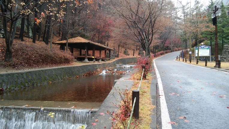 244DCC4456932E3912DFF4