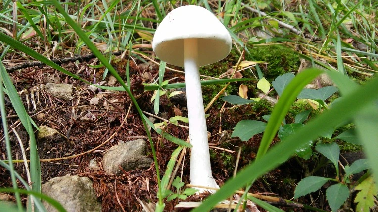 2535874956987CCA2BFB69