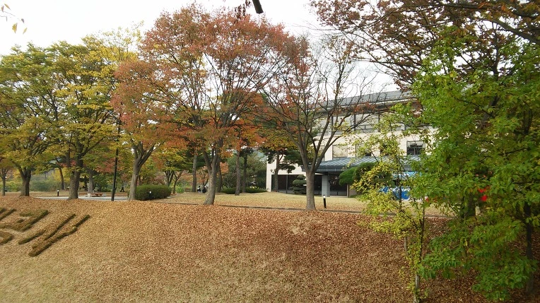 23662833562A9F3030BACF