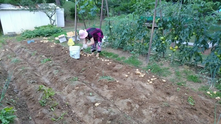 99E288495B3D584A196C29