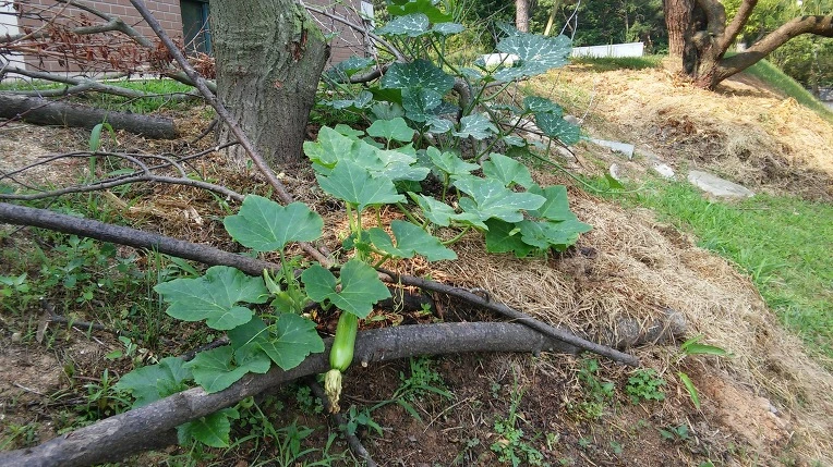 2277673A576495D516F9E4