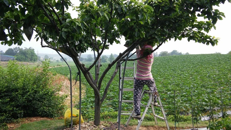 252CB43F5757B5140C4790