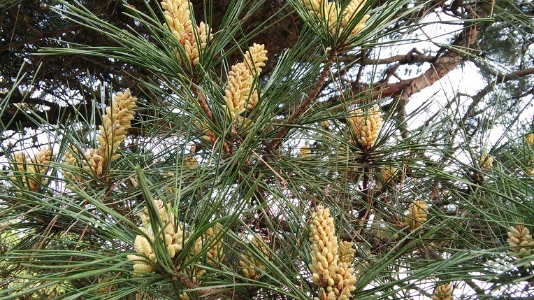 2674AB35572E674B27CCF5