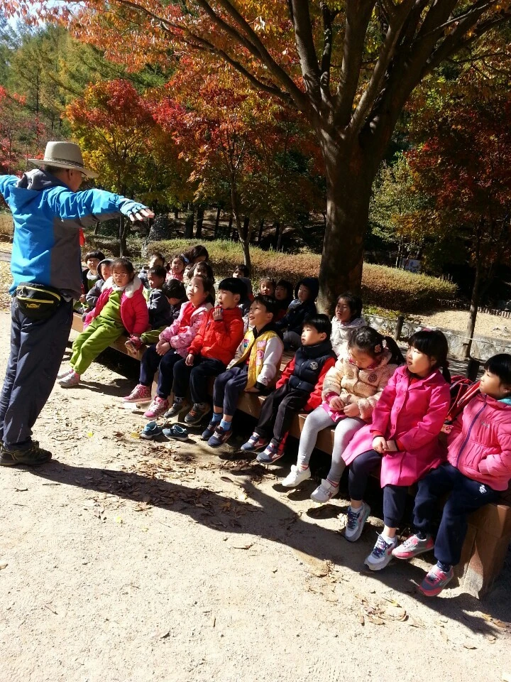 250BBA335631AD57182225