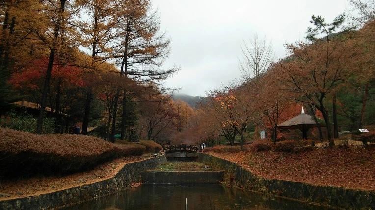 2361594157AE948516C522