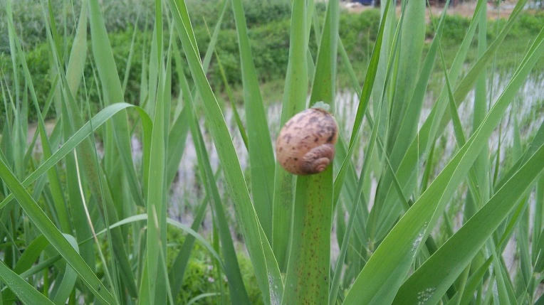 233F513F575617530E3A59