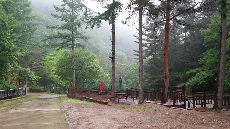 211B754B5924D6F6353C1F