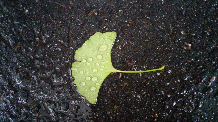 211A0F3B560D7F371325BC